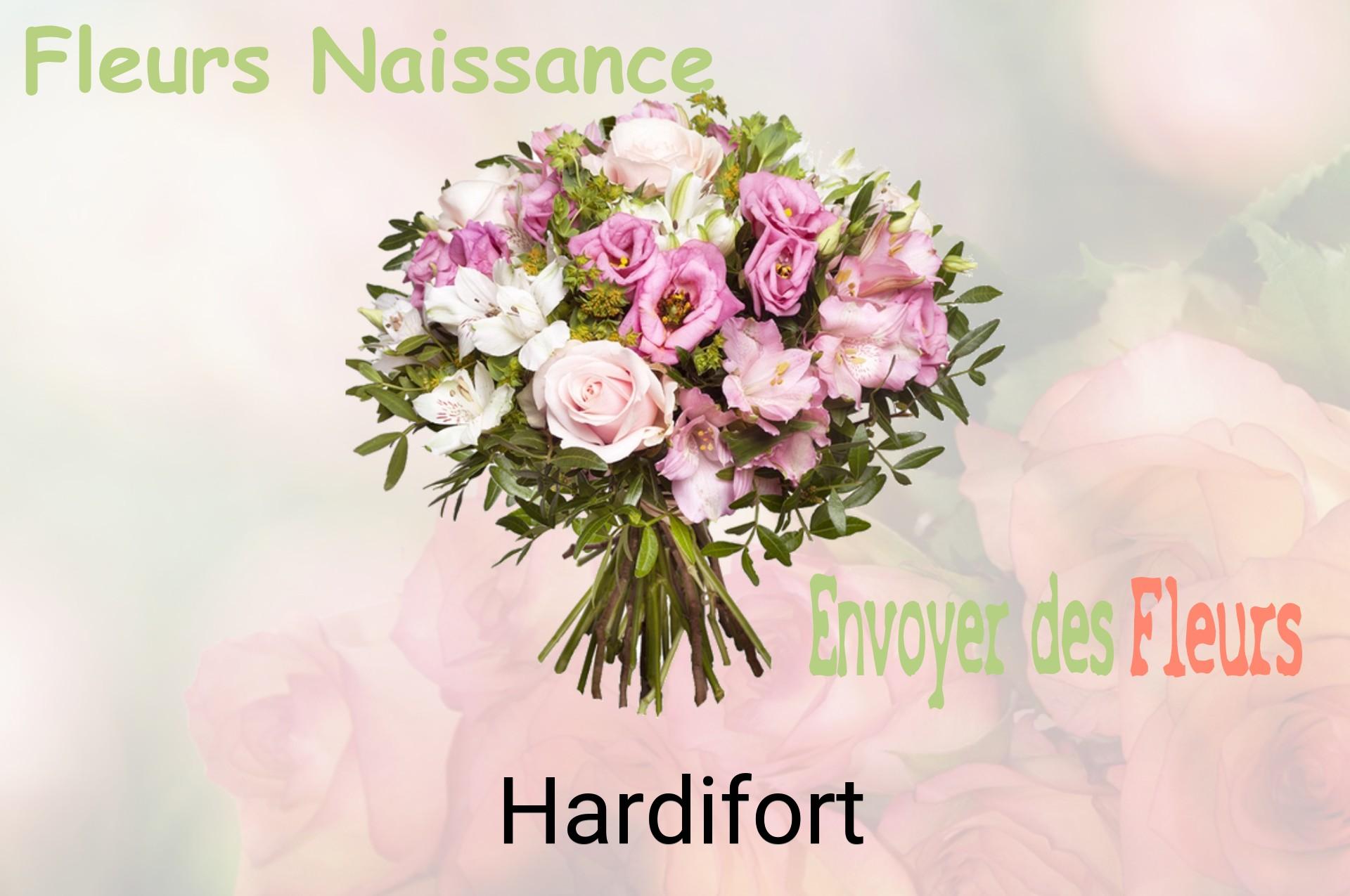 Bouquet de fleurs de naissance livré à Hardifort